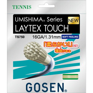 GOSEN (S[Z) dejXp Kbg E~V} CebNX^b`16 i` 1.31mm TS750NA