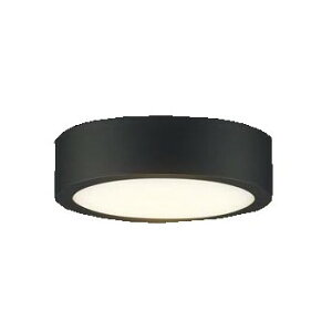 PANASONIC LSEW4065LE1 [LED�_�E���V�[�����O���C�g(�d���F)]