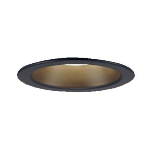 PANASONIC LSEW5029LE1 [pLED_ECg(dF)]