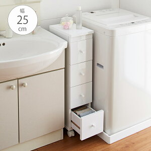 XS 25 Ԏ[ Lb` rO h[ ʏ  RZgt LX^[t o i zCg  [J[