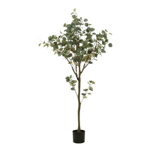 tFCNO[ [J 150cm ^ ϗtA CeA  A  ډB RpNg  A lϗtA Vv V   rO