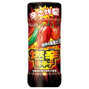 GXr[Hi S&B Rhhq 45g ×5 [J[ Mtg v[g