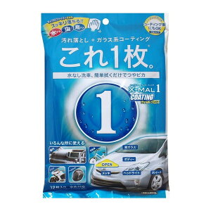 PROSTAFF S135 エックスマールワン コーティングウェットクロス