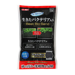 WFbNX xXgoCITh1.5L Ϗ܋pi p