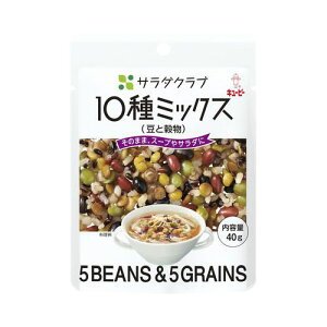 L[s[ T_Nu10~bNXƍ 40g ×10 [J[ Mtg v[g