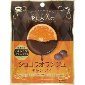 加藤製菓 加藤 ショコラオランジュキャンディ 55g ×10 メーカー直送