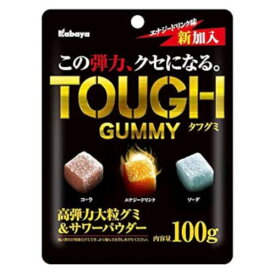 カバヤ食品 カバヤ タフグミ 100g ×6 メーカー直送