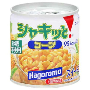 ͂ VLbƃR[ EO M2 ×6 [J[ Mtg v[g Ε ~Mtg