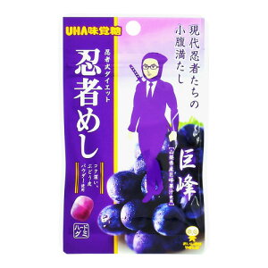UHAo E҂߂  20g ×10 [J[ Mtg v[g