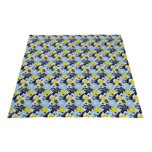 CAPTAIN STAG UB-3052 �v�[���}�b�g180×180cm(�z�k)