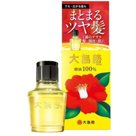 大島椿 ツバキ油 椿油 ヘアオイル 40mL ヘアケア 多機能オイル 植物性オイル 無香料 無着色 無鉱物油 うるおい つや ダメージ カメリア種子油