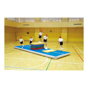 y@lz EVERNEW Goj[ ETE212 GA[gbN}bg600 [J[