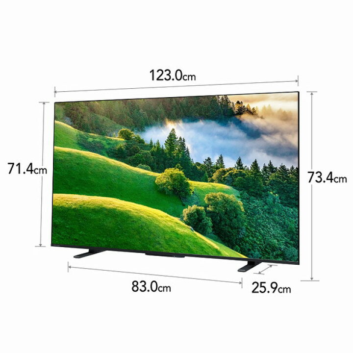 楽天市場】東芝 55M550L REGZA(レグザ) [55V型 地上・BS・110度  