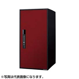 PANASONIC CTN6250RXR {h[ e-COMBO Light(C[R{Cg) [zR~jP[V{bNX [W^Cv (OoEEJ)]