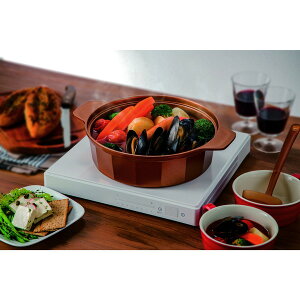 �p�[������ VISIONS GOLD Coating IH�Ή�����26cm CP-8805