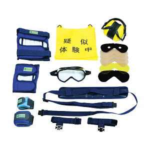 Oa쏊 110058 ҋ^̌ X^_[hZbgPLUS3