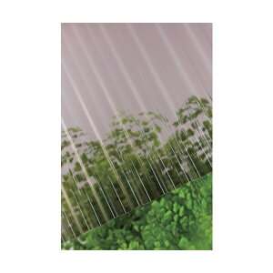 217781 �|���J�g�� 32�g 7�� 810�u�����Y