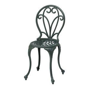 ^JV[ IGF-C04 t[ K[f`FA[ [J[