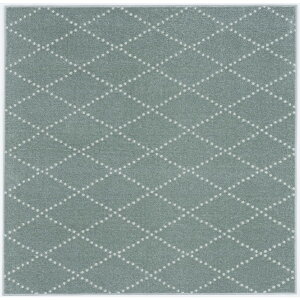 X~mG 13285750 185×185cm BLGR 􂦂 O |g 185×185cm u[O[ [J[