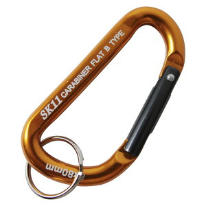 SK11 �A���~�J���r�i B SAC-880B�S�[���h