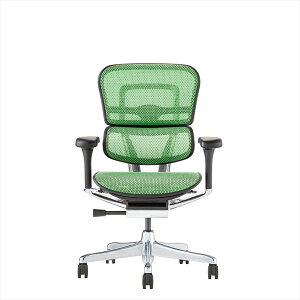 �G���S�q���[�}�� �v��2 ���[�^�C�v ���@�\ �I�t�B�X�`�F�A �u���b�N�t���[��×�O���[�����b�V�� Ergohuman PRO2 EHP2-LAM-BF-GN