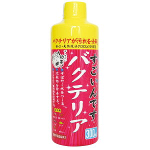 RguLH| łoNeA 300ml [J[