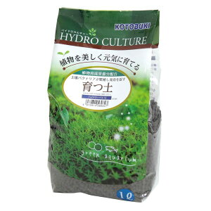 RguLH| y nCh\C 1L [J[