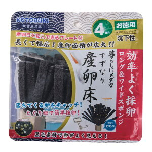 RguLH| 炵Ƀ_J ȂY  4 [J[