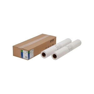 EPSON EPPP6436 [SureColor�p ���ʎ����[��(����)/��914mm��×50m(2�{����)/36�C���`�T�C�Y]