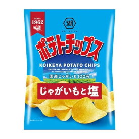 湖池屋 ポテトチップス じゃがいもと塩 60g x12 メーカー直送