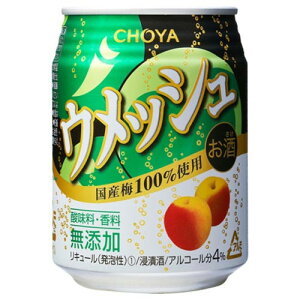 `[~ `[ EbV v[\[_ 250ml x24 [J[ Mtg v[g