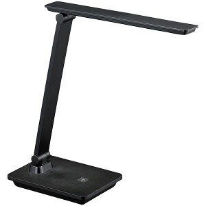 �I�[���d�@ DS-LS24DSM-K [LED�f�X�N�����v �u���b�N]