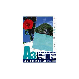 I[d@ LAM-FA31003 [~l[gtB100~N A3 100]