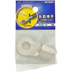 I[d@ DZ-R100-12/A1 [ی^[q R100-12 1]