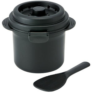 スケーター 電子レンジ 糖質カット ご飯メーカー 1合 UDG1N