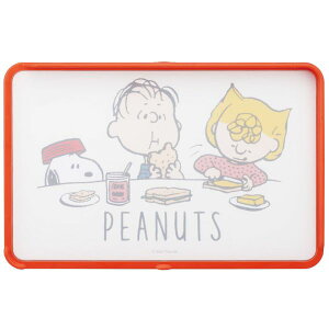 XP[^[ ʃK[ht Rۂ܂Ȕ Xk[s[ KTMT1AG