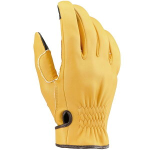 fCgi D96820 HBG-037 D V[g L XL