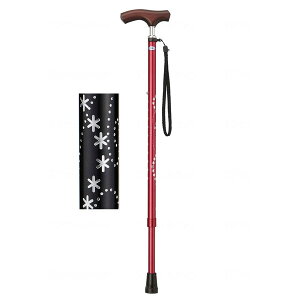 ~L LEPC   MRZ-17004 [J[