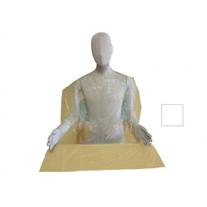 t@[XgCg PEHpGv zCg FR-817 [J[