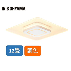 �A�C���X�I�[���} CEA-A12DLPS [LED�V�[�����O���C�g �p�l�����C�g�X�N�G�A 12��] ���[�J�[����