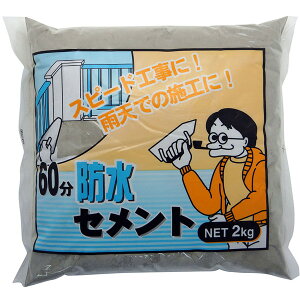 ƒ뉻wH 60hZg 2kg O[
