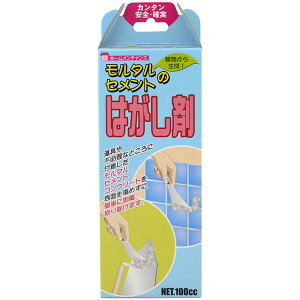 ƒ뉻wH ^Zĝ͂ 100cc