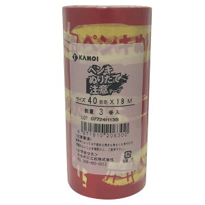 �y7/5 19���`�G���g���[��P10�{�z�J���� �y���L�ʂ肽�Ē��Ӄe�[�v40X18M (3) xp10n