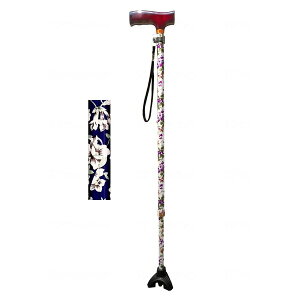 _cY SXebL  ԕ 10005000 [J[