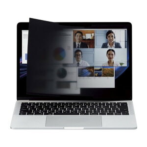 ELECOM EF-PFNS133W10 [�p�\�R���p �`�����h�~ �v���C�o�V�[�t�B���^�[ (13.3W�C���`(16:10) �z���^�C�v ���E�� ����p�x60�x)]