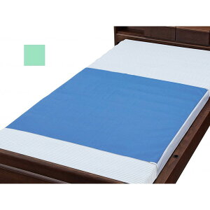 EFt@ fjhV[c W^Cv O[ M[ 009451 [J[