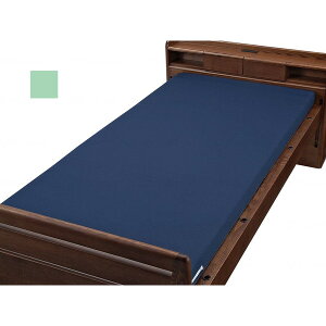 EFt@ }bgXhJo[ O[ 85×195×8 001153 [J[