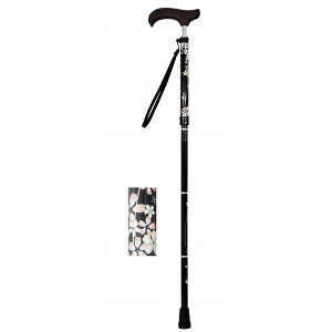 EFt@ CtXebL XlbN܏X^Cv  ubN`F[ 009735 [J[