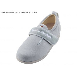 EFt@ _u}WbNIII 3E n[LeB O[ L 010501 [J[