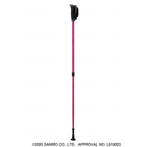 EFt@ EH[LO|[ n[LeB sN 010901 [J[